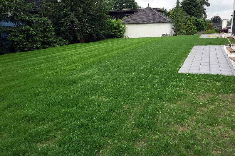 Rasenfl&auml;chen in der Albert-Schweitzer-Stra&szlig;e