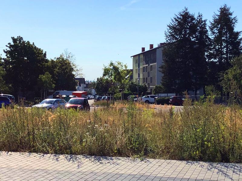 Neues Projekt in R&ouml;dermark-Urberach